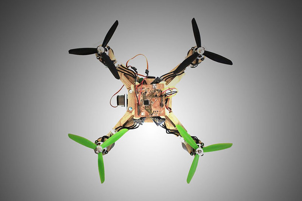 aerial-robotics-drone-crop-38915.jpg